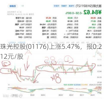 珠光控股(01176)上涨5.47%，报0.212元/股