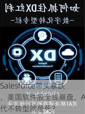 Salesforce带头暴跌，美国软件股全线崩盘，AI时代不转型就是死？