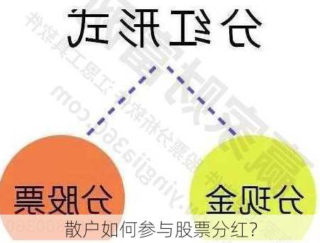 散户如何参与股票分红？