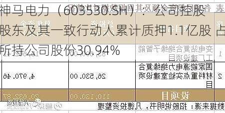 神马电力（603530.SH）：公司控股股东及其一致行动人累计质押1.1亿股 占所持公司股份30.94%