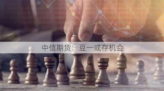 中信期货：豆一或存机会