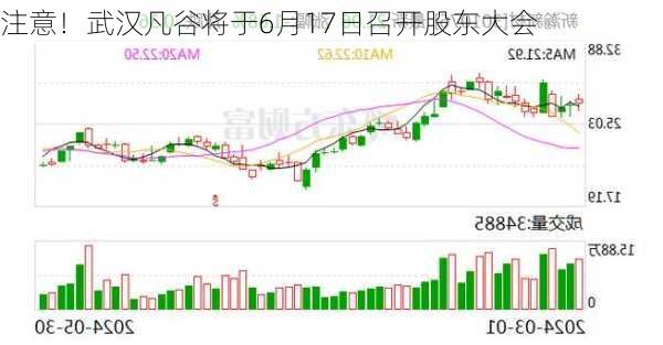 注意！武汉凡谷将于6月17日召开股东大会