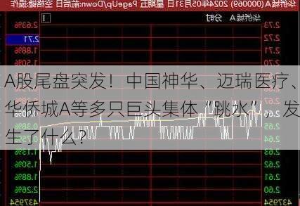 A股尾盘突发！中国神华、迈瑞医疗、华侨城A等多只巨头集体“跳水”，发生了什么？