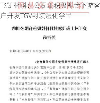 飞凯材料：公司正积极配合下游客户开发TGV封装湿化学品