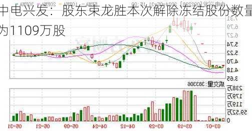 中电兴发：股东束龙胜本次解除冻结股份数量为1109万股