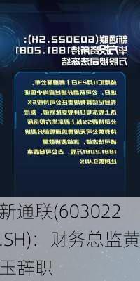 新通联(603022.SH)：财务总监黄玉辞职