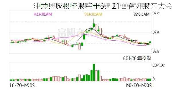 注意！城投控股将于6月21日召开股东大会