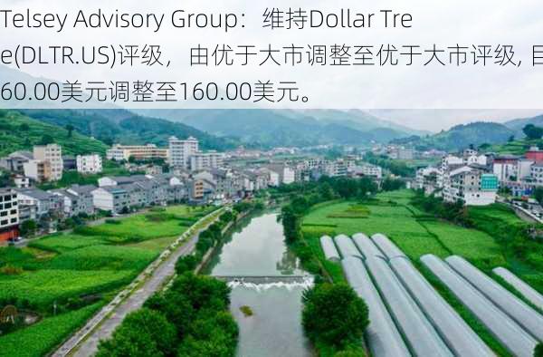 Telsey Advisory Group：维持Dollar Tree(DLTR.US)评级，由优于大市调整至优于大市评级, 目标价由160.00美元调整至160.00美元。