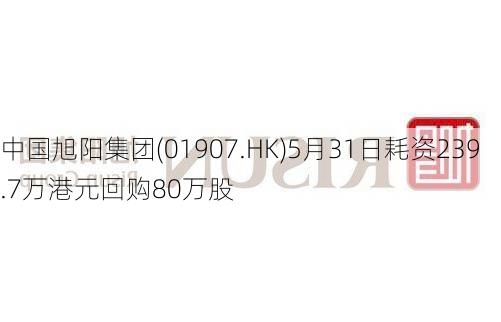 中国旭阳集团(01907.HK)5月31日耗资239.7万港元回购80万股