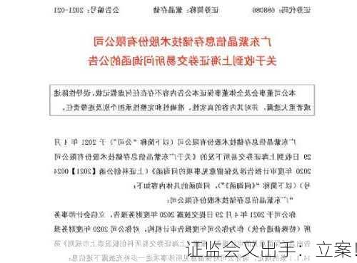 证监会又出手：立案！