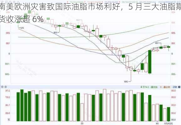 南美欧洲灾害致国际油脂市场利好，5 月三大油脂期货收涨超 6%