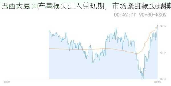 巴西大豆：产量损失进入兑现期，市场紧盯损失规模