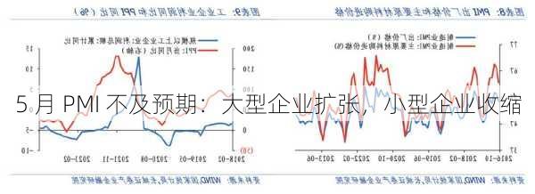 5 月 PMI 不及预期：大型企业扩张，小型企业收缩