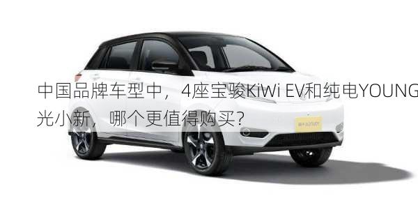 中国品牌车型中，4座宝骏KiWi EV和纯电YOUNG光小新，哪个更值得购买？