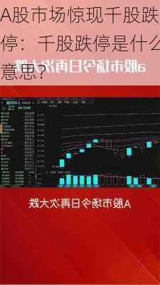 A股市场惊现千股跌停：千股跌停是什么意思？