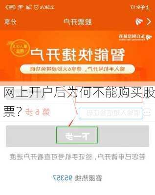 网上开户后为何不能购买股票？