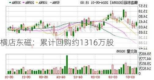 横店东磁：累计回购约1316万股