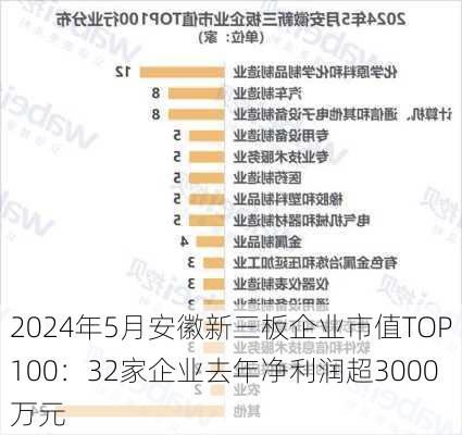 2024年5月安徽新三板企业市值TOP100：32家企业去年净利润超3000万元