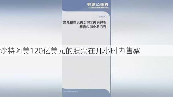 沙特阿美120亿美元的股票在几小时内售罄