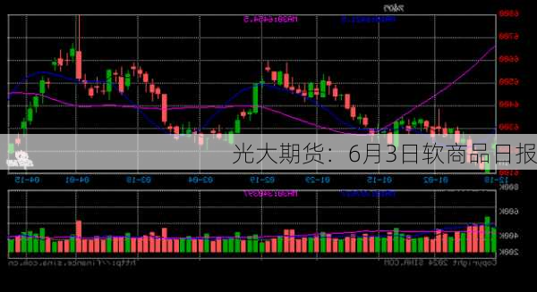 光大期货：6月3日软商品日报