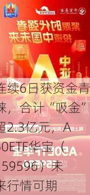 连续6日获资金青睐，合计“吸金”超2.3亿元，A50ETF华宝（159596）未来行情可期