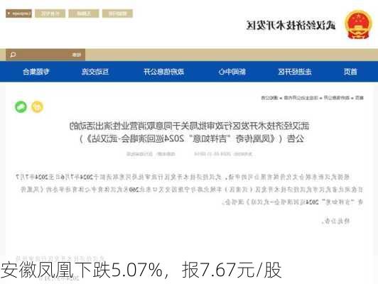 安徽凤凰下跌5.07%，报7.67元/股