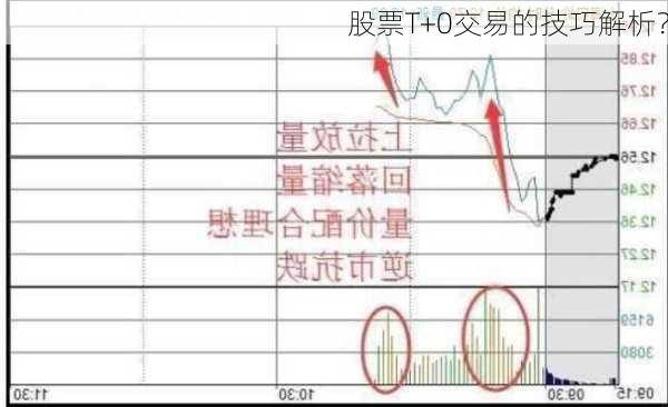 股票T+0交易的技巧解析？