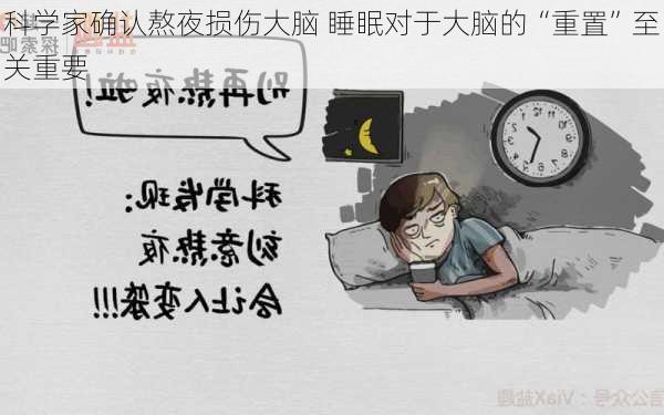 科学家确认熬夜损伤大脑 睡眠对于大脑的“重置”至关重要