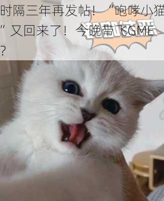 时隔三年再发帖！“咆哮小猫”又回来了！今晚带飞GME？