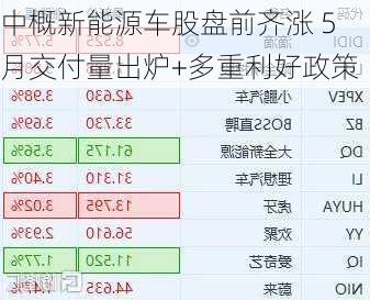 中概新能源车股盘前齐涨 5月交付量出炉+多重利好政策