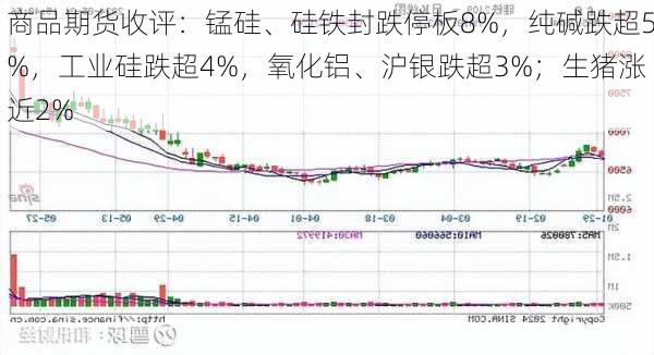 商品期货收评：锰硅、硅铁封跌停板8%，纯碱跌超5%，工业硅跌超4%，氧化铝、沪银跌超3%；生猪涨近2%