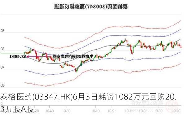 泰格医药(03347.HK)6月3日耗资1082万元回购20.3万股A股