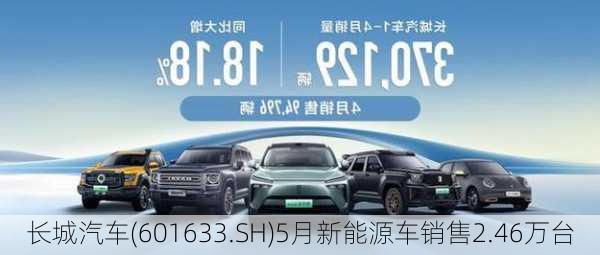 长城汽车(601633.SH)5月新能源车销售2.46万台