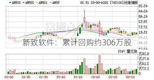 新致软件：累计回购约306万股