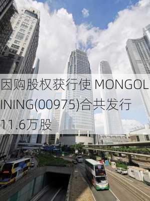 因购股权获行使 MONGOL MINING(00975)合共发行11.6万股