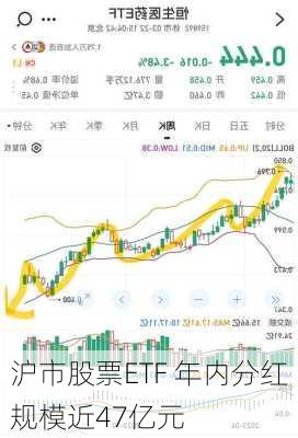 沪市股票ETF 年内分红规模近47亿元