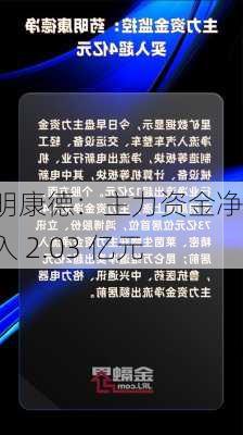 药明康德：主力资金净流入 2.03 亿元