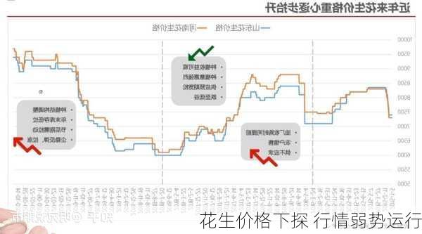 花生价格下探 行情弱势运行