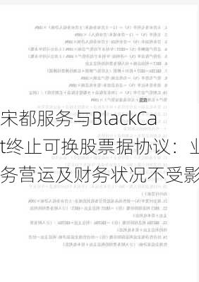 宋都服务与BlackCat终止可换股票据协议：业务营运及财务状况不受影响