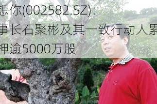 好想你(002582.SZ)：董事长石聚彬及其一致行动人累计质押逾5000万股