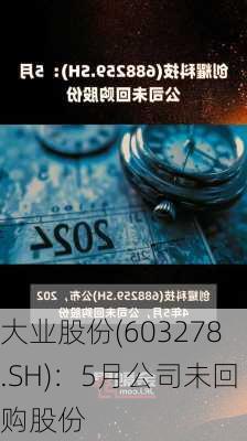 大业股份(603278.SH)：5月公司未回购股份