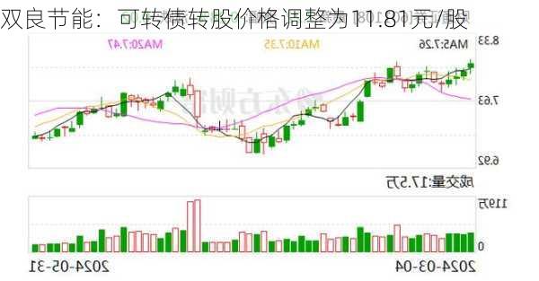 双良节能：可转债转股价格调整为11.81元/股