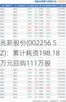 兆新股份(002256.SZ)：累计耗资198.18万元回购111万股