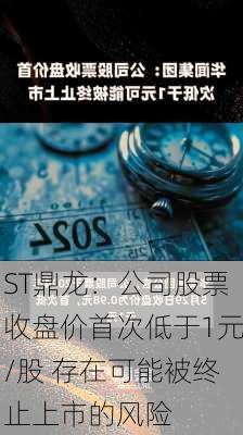 ST鼎龙：公司股票收盘价首次低于1元/股 存在可能被终止上市的风险