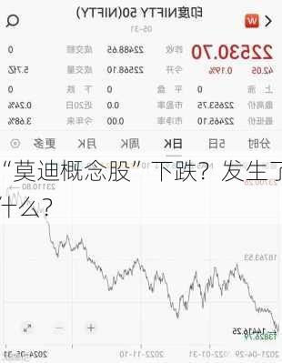 “莫迪概念股”下跌？发生了什么？