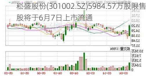 崧盛股份(301002.SZ)5984.57万股限售股将于6月7日上市流通