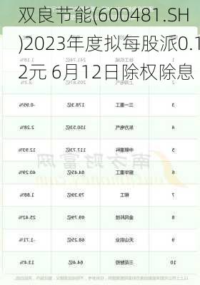 双良节能(600481.SH)2023年度拟每股派0.12元 6月12日除权除息