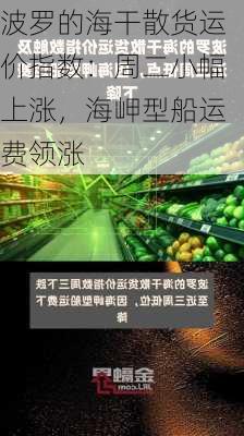 波罗的海干散货运价指数：周二小幅上涨，海岬型船运费领涨