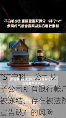 *ST宁科：公司及子公司所有银行帐户被冻结，存在被法院宣告破产的风险