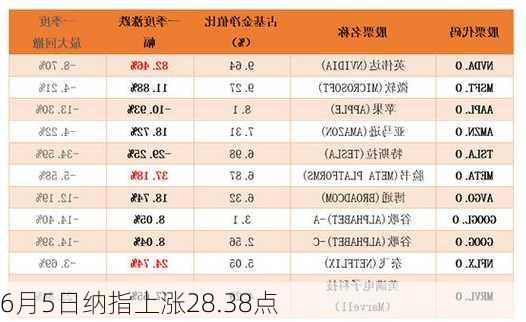 6月5日纳指上涨28.38点